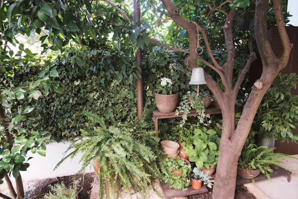 La Casa Del Jardin Villa Candeleda Exteriör bild