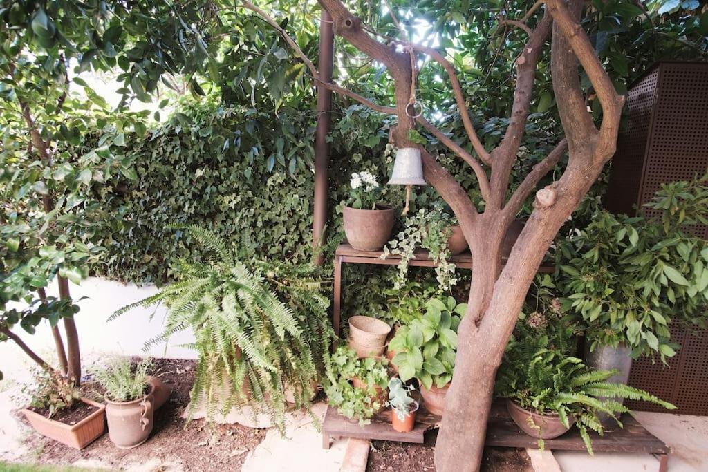 La Casa Del Jardin Villa Candeleda Exteriör bild